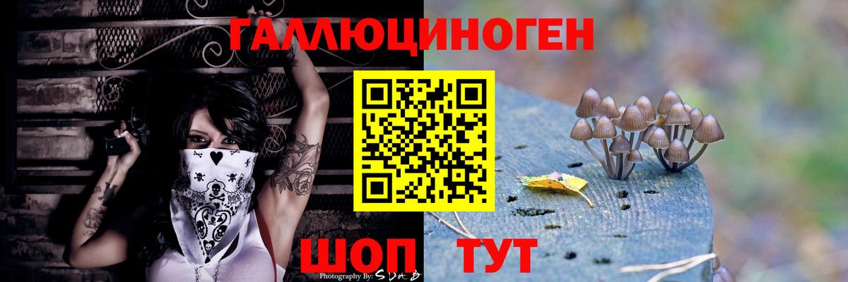 Ковров  Псилоцибиновые грибы Psilocybe  Вход с VPN 